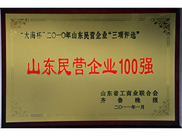 山東民營(yíng)企業(yè)100強(qiáng)